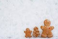 Christmas gingerbread cookies on white background