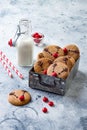 Christmas gingerbread. Decorated red nosed reindeer cookies with milk bottle. Festive homemade decorated sweets.