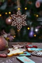 Christmas gingerbread decoration on a tree. Royalty Free Stock Photo