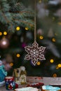 Christmas gingerbread decoration on a tree. Royalty Free Stock Photo