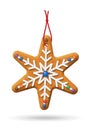 Christmas Gingerbread Icon