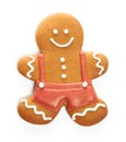 Christmas gingerbread man cookie Royalty Free Stock Photo