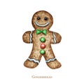 Christmas gingerbread man cookies, winter holiday sweet food. Watercolor illustration isolated on white background. Xmas Royalty Free Stock Photo