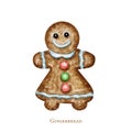 Christmas gingerbread man cookies, winter holiday sweet food. Watercolor illustration isolated on white background. Xmas Royalty Free Stock Photo