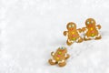 Christmas gingerbread men on the background of snow Royalty Free Stock Photo