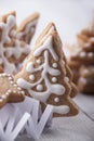 Christmas gingerbread in a paper snowflake