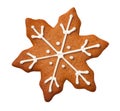 Christmas Gingerbread Snowflake Cookie Isolated on White Background