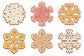 Christmas gingerbread snowflakes with delicate multicolored glaze. For the design of cards, flyers. Vector illustration