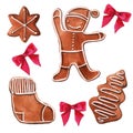 Christmas gingerbread. . Watercolor illustration.