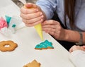 Christmas gingerbreads.