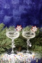 Christmas glasses on the background of spruce branches.