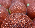 Christmas dark red balls closeup, festive background