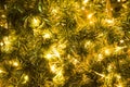 Christmas glod ball on the branches fir glowing garland , Christmas or New Year`s background. Royalty Free Stock Photo