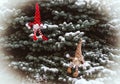 Christmas gnome. Gnomes on a coniferous tree. Winter atmosphere snow, frost. Background for greeting cards.