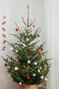 Decorated Red and White Baubles Hanging on a Christmas Tree with a Plain White Wall Royalty Free Stock Photo