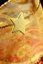 Christmas golden decoration with gold star