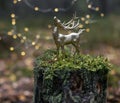 Christmas golden deer toy on the tree stump in forest close up. Royalty Free Stock Photo