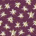 Christmas golden and red stars pattern