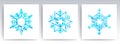 Christmas gorgeous snowflakes of blue hue, set