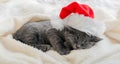 Christmas gray british cat portrait. Kitten in santa claus hat sleeping on soft fluffy white plaid. New Year gray kitten cat