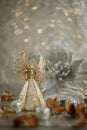 Christmas gray poinsettia flower, angel with a book in his hands and blurred beautiful background with bokeh. Dry Royalty Free Stock Photo