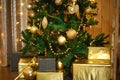 Christmas green artificial fir tree in the Golden room with lights garlands decorated with gold and balloons and toys. The box wit