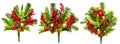 Christmas Green Floral Decorations. Pine Tree Branches Bouquet with Red Berries and Golden Balls over White. Set of Xmas Handmade