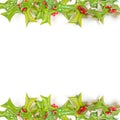 Christmas green framework isolated on white Royalty Free Stock Photo