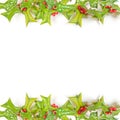 Christmas green framework isolated on white Royalty Free Stock Photo