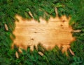Christmas green framework Royalty Free Stock Photo