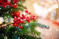 Christmas green pine tree with background bokeh sun light Royalty Free Stock Photo