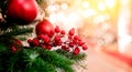 Christmas green pine tree with background bokeh sun light Royalty Free Stock Photo