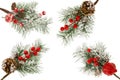 Christmas green Spruce branch with snow, cones and red berries isolated on white background.