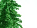 Christmas greenery Royalty Free Stock Photo