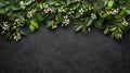 Christmas greenery border on a black background Royalty Free Stock Photo