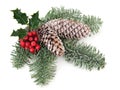 Christmas Greenery Royalty Free Stock Photo