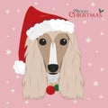 Afghan Hound dog with red Santas hat and Christmas toy balls Royalty Free Stock Photo