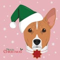 Basenji dog with green Santas hat and a Christmas ornament