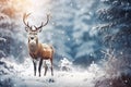 Christmas greeting card with beautiful deer in magical snowy forest Royalty Free Stock Photo