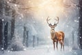 Christmas greeting card with beautiful deer in magical snowy forest Royalty Free Stock Photo