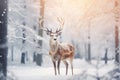 Christmas greeting card with beautiful deer in magical snowy forest Royalty Free Stock Photo