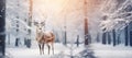 Christmas greeting card with beautiful deer in magical snowy forest, banner format Royalty Free Stock Photo