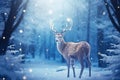Christmas greeting card with beautiful deer in magical snowy forest Royalty Free Stock Photo