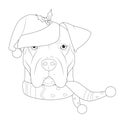 Christmas greeting card for coloring. Argentinian Dogo dog with Santa`s hat and a woolen scarf for winter