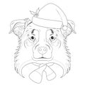 Christmas greeting card for coloring. Australian Sheperd dog with Santa`s hat and a woolen scarf for winter