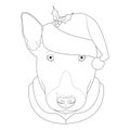 Christmas greeting card for coloring. Bull Terrier dog with Santa`s hat Royalty Free Stock Photo