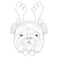 Christmas greeting card for coloring. English Bulldog dog with reindeer horns Royalty Free Stock Photo