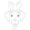 Christmas greeting card for coloring. Labrador Retriever dog with reindeer horns and Christmas toy balls