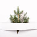 Christmas greeting card concept with natural spruce branch. Neutral minimal floral composition