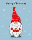 Christmas greeting card. cute gnome